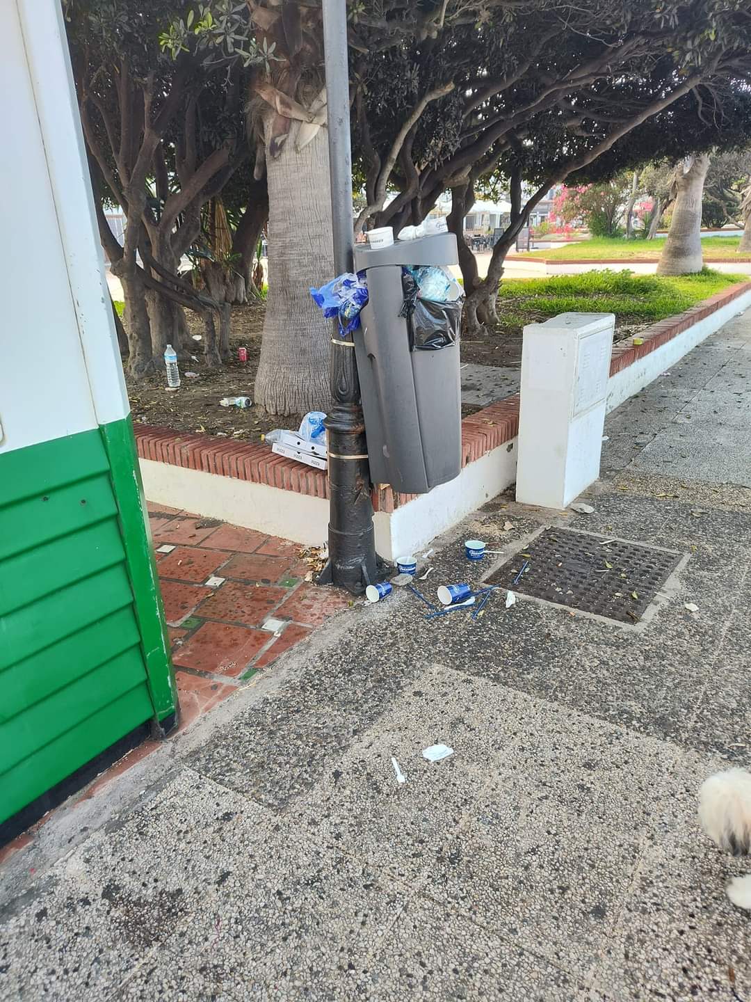 El Grupo Popular de Salobrea cuestiona el estado del Paseo Martimo en pleno verano
